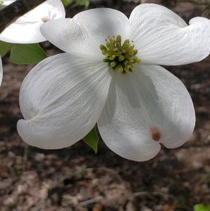 Meet your Posher, Christi